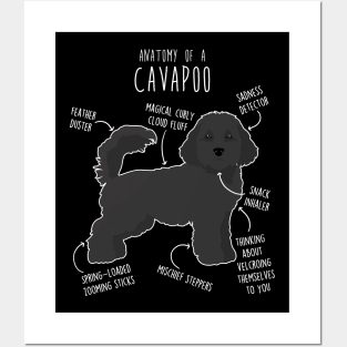 Black Cavapoo Dog Anatomy Posters and Art